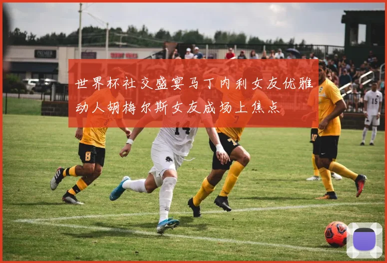 世界杯社交盛宴马丁内利女友优雅动人胡梅尔斯女友成场上焦点