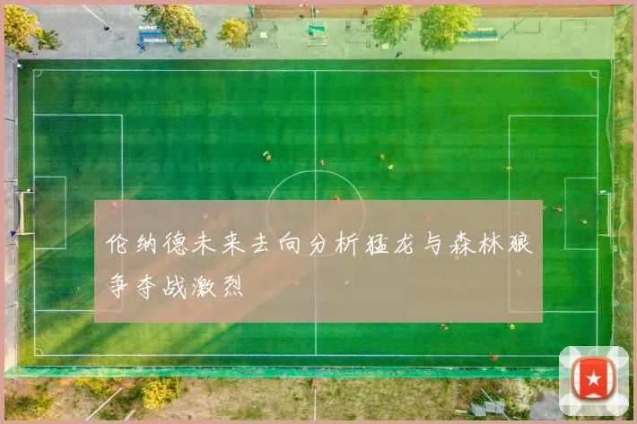 伦纳德未来去向分析猛龙与森林狼争夺战激烈